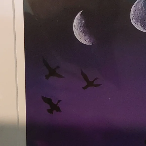 Limited Edition Print - Picture 4 of 5